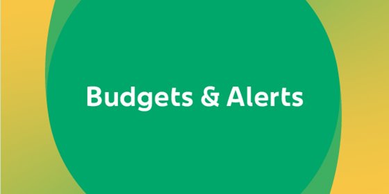 Budgets and Alerts