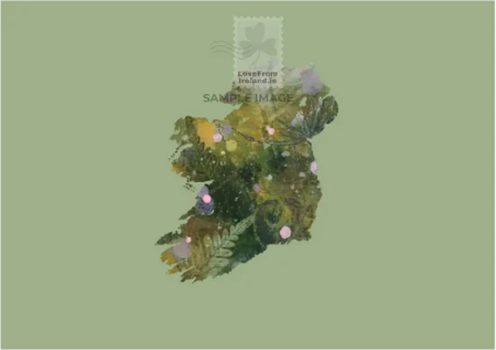 "Ireland Bloom" by Shanon O'Bracken