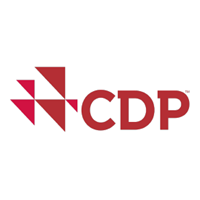 CDP - Disclosure Insight Action