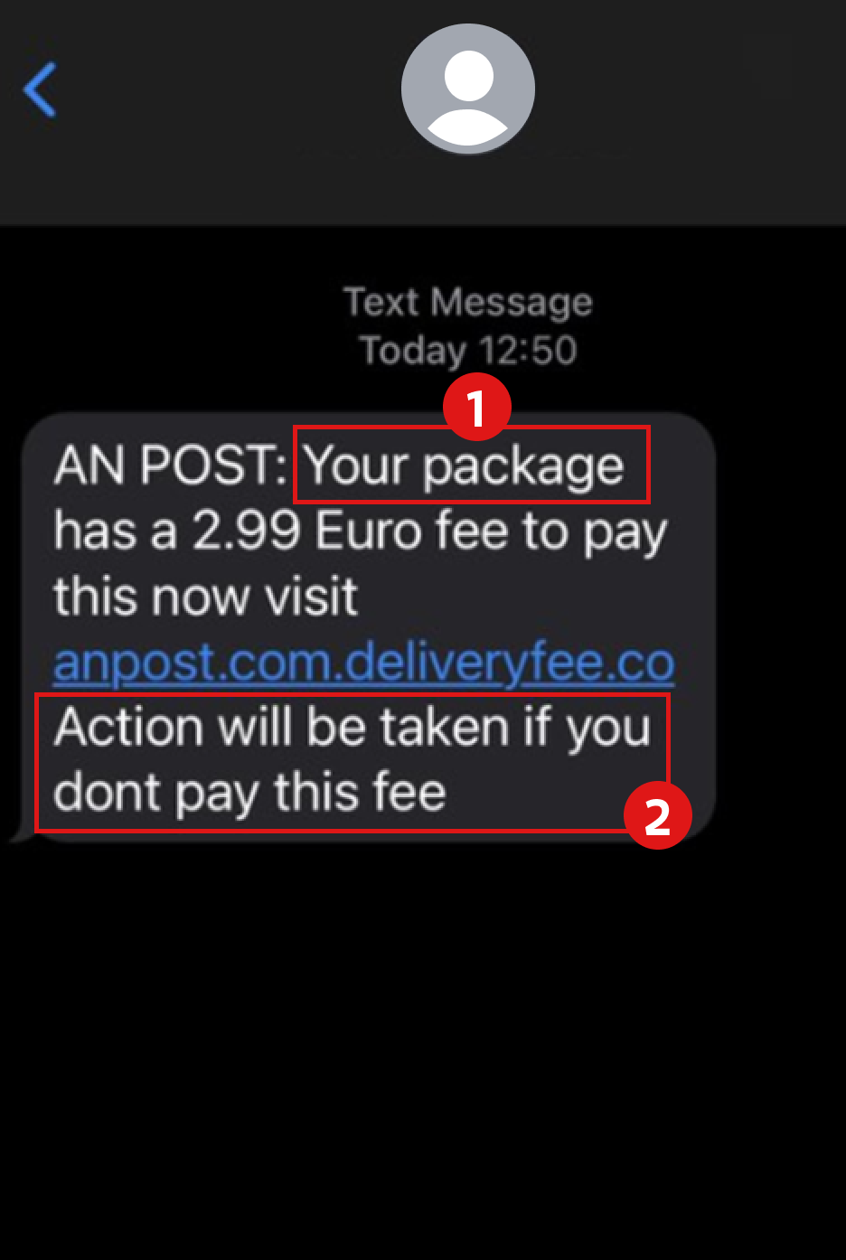 Example of fraudulent redelivery text